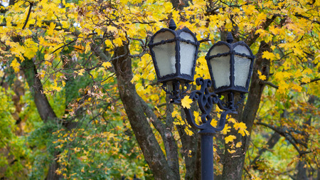 Lamp against the background of autumn leavesの写真素材