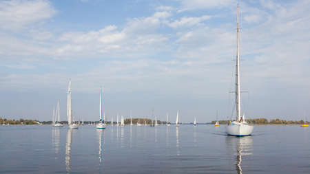 Many sailing yachts on the water, regattaの写真素材