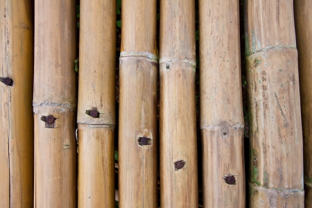 Bamboo wall backgroundの写真素材