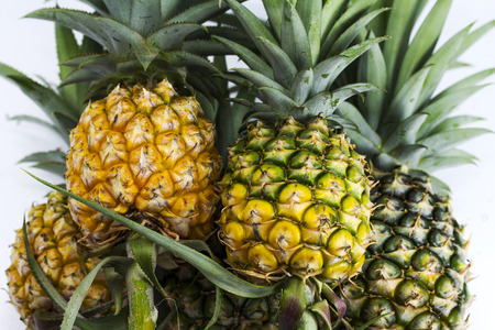 Four pineapple close upの写真素材