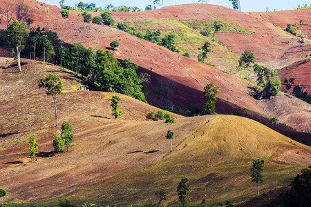 Deforestation in amphoe wiangpapao chiangrai province northern thailand