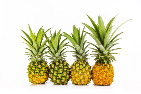 Four pineapple close up, on white background, isolatedの写真素材