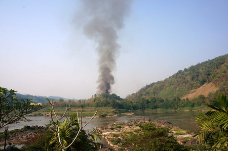 Wild fireの写真素材