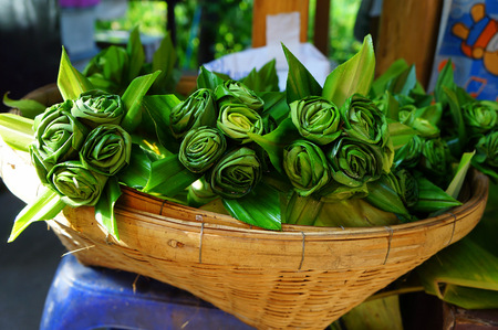 Rose of Pandan leafの写真素材
