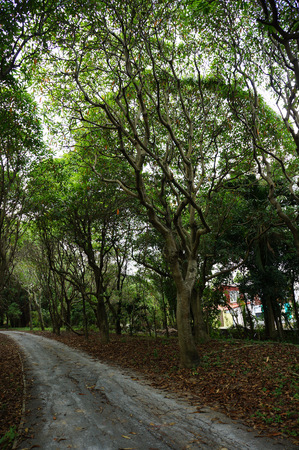 Path Through The countrysideの写真素材