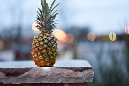Random pineapple sitting on a post at the corner of my streetの写真素材