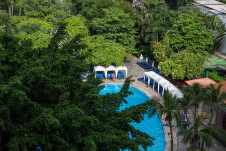 tree and swimming poolのeditorial素材