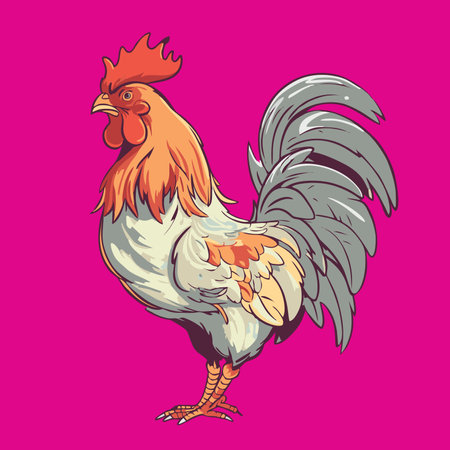 Vector illustration of a rooster. Isolated on pink background.のイラスト素材
