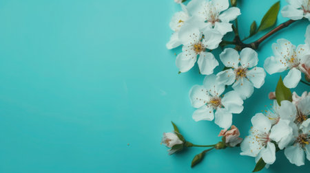 Spring flowers on a blue background. Cherry blossom. Spring background.の素材