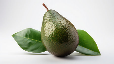 Creamy avocado for your creationの素材