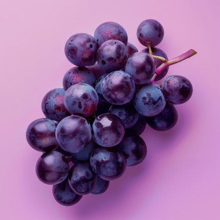 A close-up photograph of a bunch of dark purple grapes on a pink background.の素材