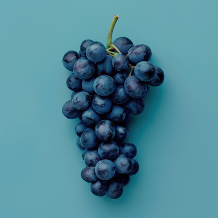 A single bunch of dark blue grapes is positioned against a solid blue background.の素材