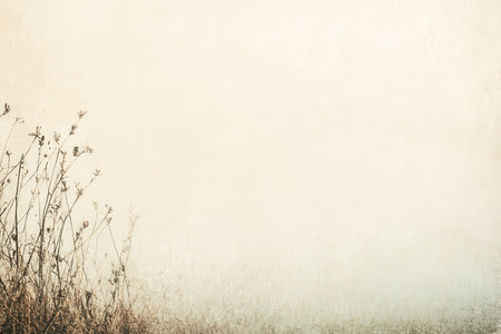 A close-up photograph showcasing silhouettes of dried wildflowers against a soft, textured, creamy white background, creating a delicate and elegant aesthetic.の素材