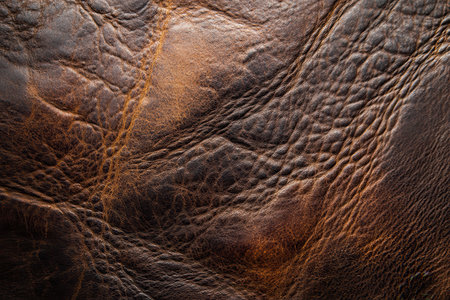 A close-up shot of the textured surface of brown leather, showcasing the intricate wrinkles and lines.の素材
