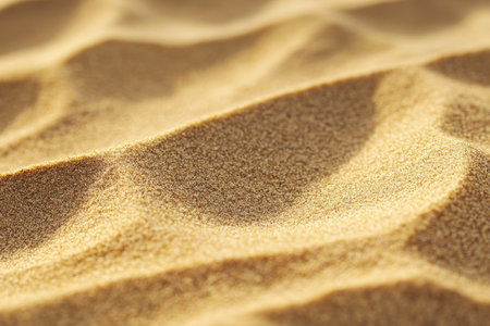 A close-up photograph captures the intricate texture and warm color of a golden sand dune.の素材