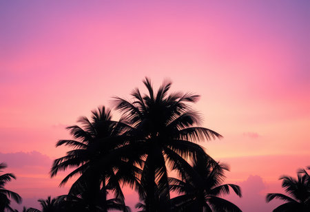 A silhouette of palm trees against a colorful pink and orange sunset sky.の素材