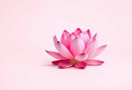 A single pink lotus flower is beautifully displayed against a pale pink background, showcasing its delicate petals and natural elegance.の素材
