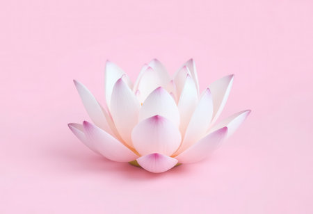 A single pink lotus flower with delicate petals, against a soft pastel pink background.の素材