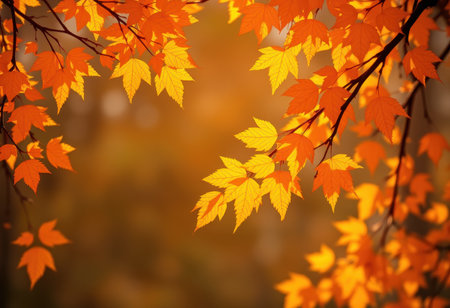 Close-up of vibrant yellow and orange autumn leaves on a branch, with a blurry orange background.の素材