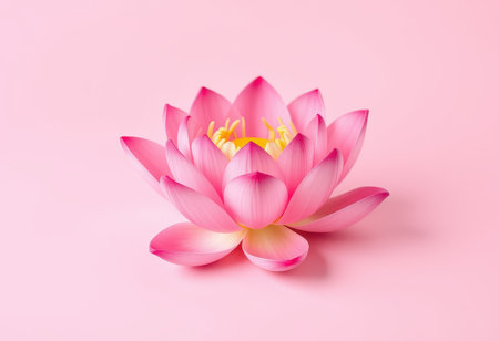 A single pink lotus flower with delicate petals, a soft yellow center, and a gentle pink background.の素材