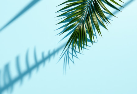 A single palm leaf casts a shadow on a light blue background.の素材