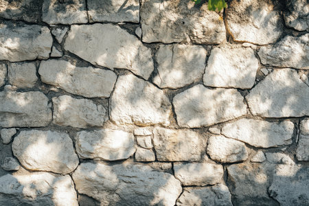 A close-up view of a stone wall with sunlit patches and shadows casting intricate patterns.の素材