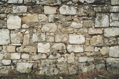 A close-up shot of a weathered stone wall with patches of green growth.の素材