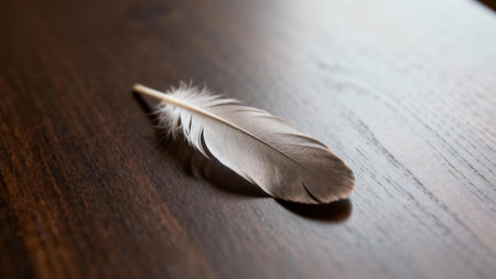 Detailed view of the fluffy fibers and central shaft of a light gray feather lying on rich, dark wood planking, captured with sharp focus and reflective natural ambient lighting.の素材