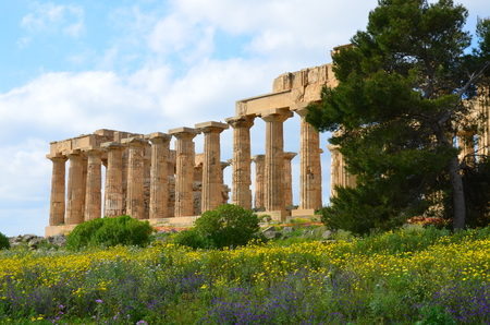 Archaeological Park of Selinunte, Sicily Italyの写真素材