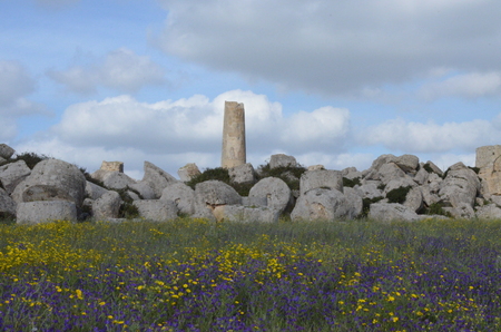 Archaeological Park of Selinunte, Sicily Italyの写真素材