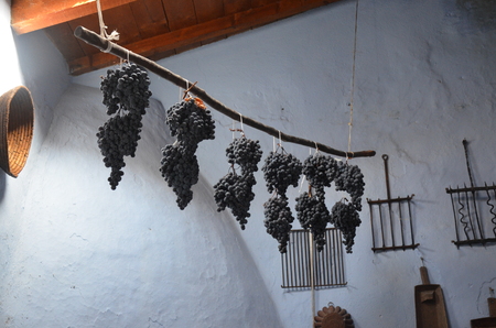 Cluster of fresh grapes isolatedの写真素材