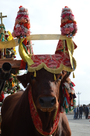The tradition and Folk of Sardiniaの写真素材