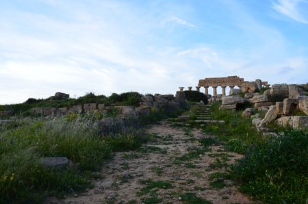 Archaeological Park of Selinunte, Sicily Italyの写真素材