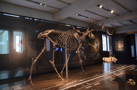 Neu Museum in Berli, Germanyのeditorial素材