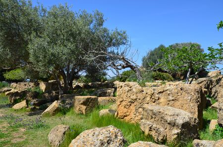 The Agrigento Temple valley, Sicilyの写真素材