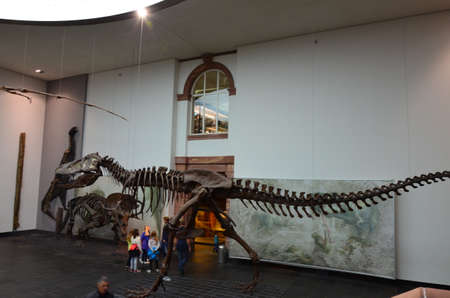 Interior view of Senckenberg Museum in Frankfurt am Main, Germanyのeditorial素材