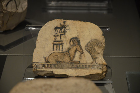 Exhibition of mummies, artifacts and Egyptian finds at the Egyptian Museum of Turinのeditorial素材