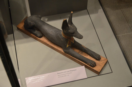 Exhibition of mummies, artifacts and Egyptian finds at the Egyptian Museum of Turinのeditorial素材