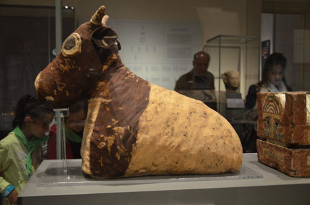Exhibition of mummies, artifacts and Egyptian finds at the Egyptian Museum of Turinのeditorial素材