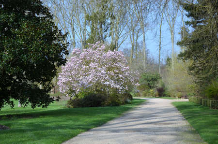Gardens of The Palace of Versailles, Franceの写真素材