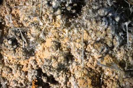 Inside of beautiful old dark cave with many stalactites. Caves of Is Zuddas, Sardiniaの写真素材