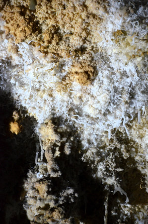 Inside of beautiful old dark cave with many stalactites. Caves of Is Zuddas, Italy, Sardiniaの写真素材