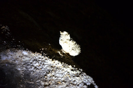 Inside of beautiful old dark cave with many stalactites. Caves of Is Zuddas, Italy, Sardiniaの写真素材
