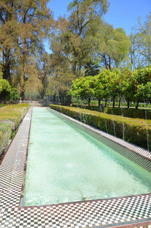 Seville, Spain 03.23.2019: The Park Parque de Maria Luisa near the Plaza of Spain in Sevilleの写真素材