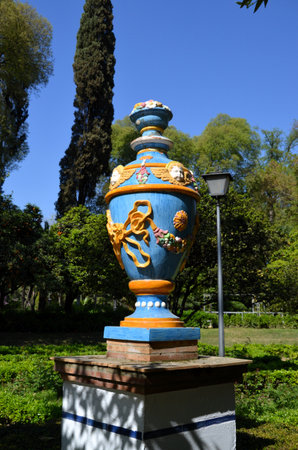 Maria Luisa Park - ceramic pot and orange trees, Sevilleの写真素材