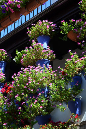 Balconies filled with flowers in spring, CÃ³rdoba, Spainの写真素材