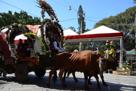 Cagliari, Sardinia 05.01.2019: Religious procession of St. Efisioのeditorial素材