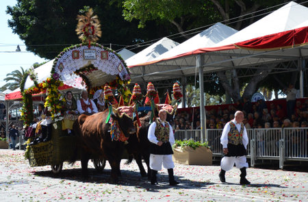 Cagliari, Sardinia 05.01.2019: Religious procession of St. Efisioのeditorial素材
