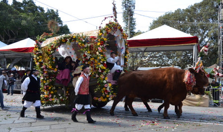 Cagliari, Sardinia 05.01.2019: Religious procession of St. Efisioのeditorial素材