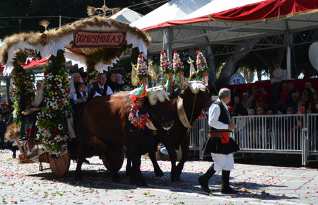 Cagliari, Sardinia 05.01.2019: Religious procession of St. Efisioのeditorial素材